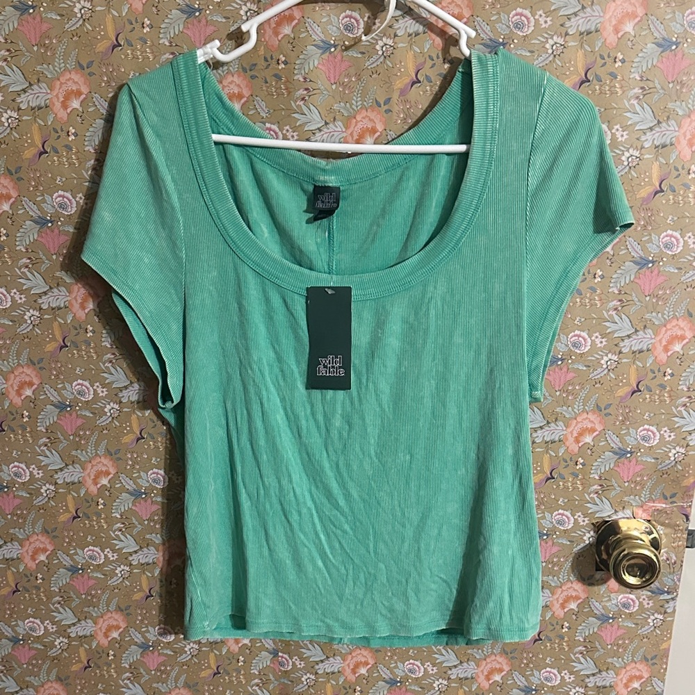 Wild Fable Mint Green Distressed Short Sleeve Tee XXL